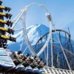 From Tokyo: Fuji-Q Highland Park Tour With English Driver - Who Is This Tour Best For?