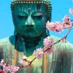 From Tokyo: Kamakura and Enoshima Full-Day Private Trip - Transport & Timing