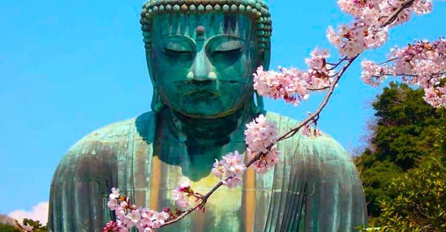 From Tokyo: Kamakura and Enoshima Full-Day Private Trip - Transport & Timing