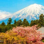 From Tokyo: Mount Fuji And Hakone Private Full Day Trip - Optional Add-Ons and Customizations