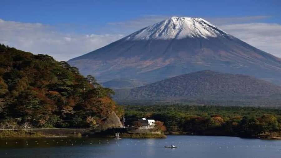 From Tokyo: Mount Fuji Customizable Private Tour with Guide - Practical Considerations