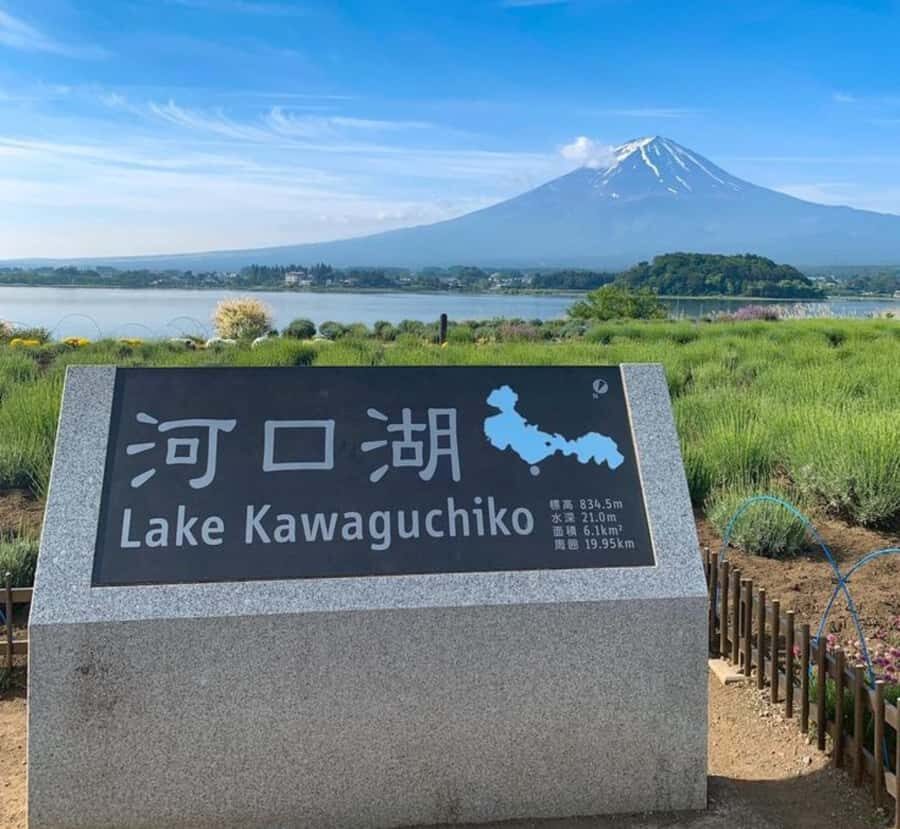 From Tokyo: Mount Fuji Full Day Customizable Private Tour - What Makes This Tour Stand Out