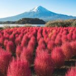 From Tokyo: Mount Fuji Full Day Customized Private Tour 9pax - Comprehensive Breakdown of the Tour Experience