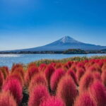 From Tokyo: Mount Fuji Full Day Private Customizable Tour - The Benefits of a Private, Customizable Tour
