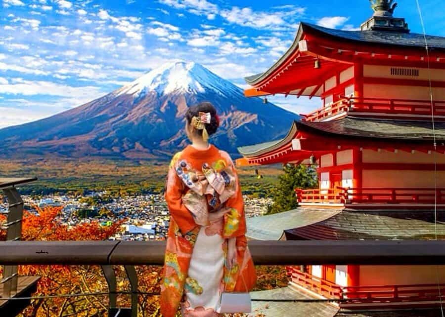 From Tokyo: Mount Fuji Full Day Private & Customizable Tour - Why This Tour Offers Great Value