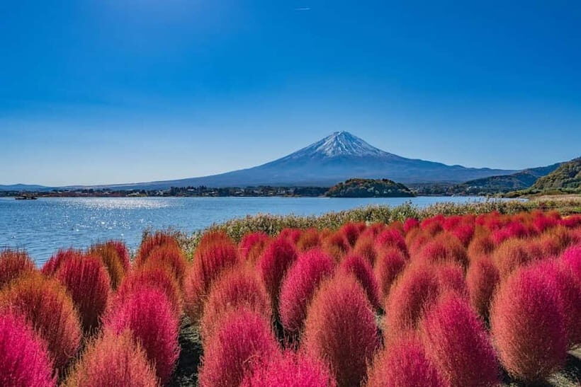 From Tokyo: Mount Fuji Full Day Private Customizable Tour - The Benefits of a Private, Customizable Tour