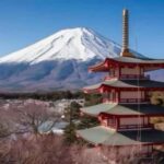 From Tokyo: Mount Fuji Full Day Private Customized Tour - Value and Practical Insights