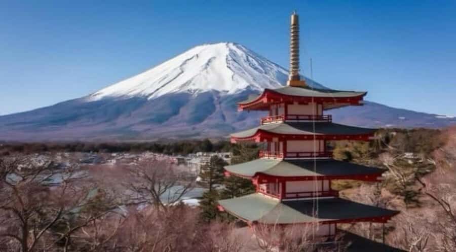 From Tokyo: Mount Fuji Full Day Private Customized Tour - Value and Practical Insights