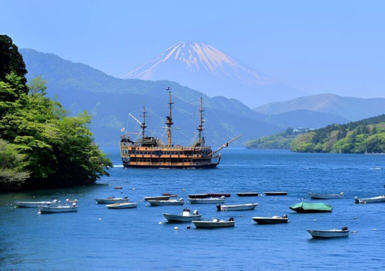 From Tokyo: Mount Fuji & Hakone Full Day Private Tour - A Deep Dive into the Details