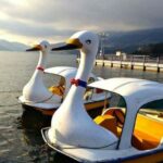 From Tokyo: Mount Fuji & Hakone Private Customizable Tour - Practicalities and What They Mean for You