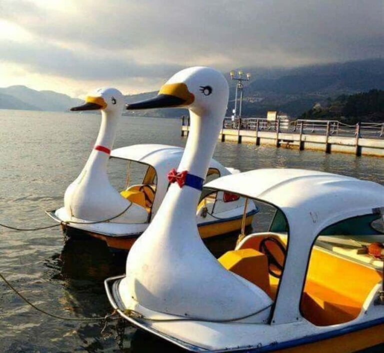 From Tokyo: Mount Fuji & Hakone Private Customizable Tour - Practicalities and What They Mean for You