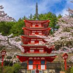 From Tokyo: Mount Fuji or Hakone Customized Day Trip - Transportation and Comfort