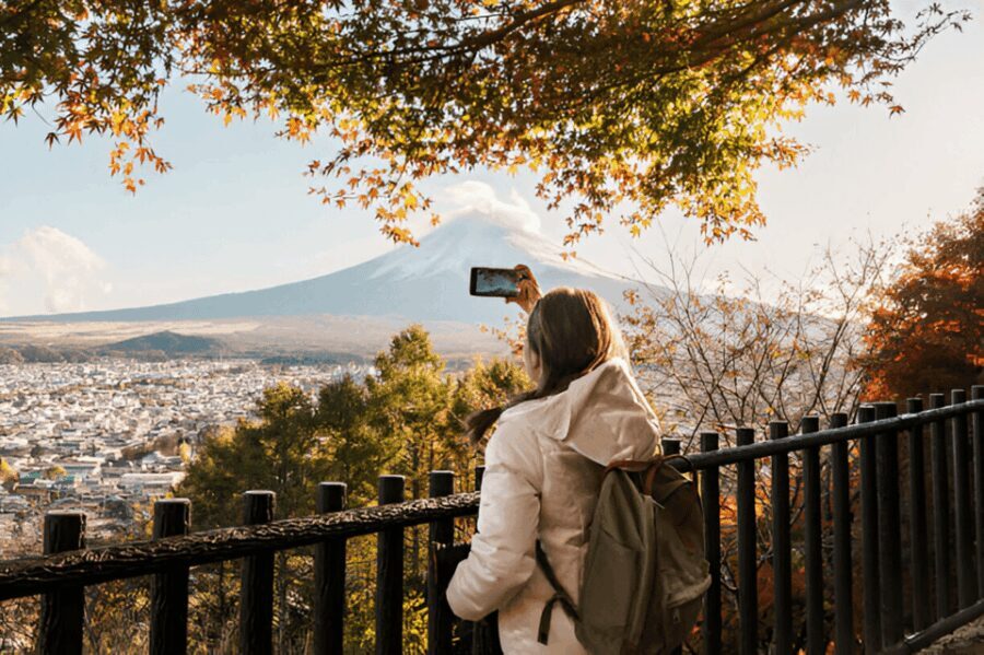 From Tokyo: Mount Fuji or Hakone Customized Day Trip - Why Choose This Tour?