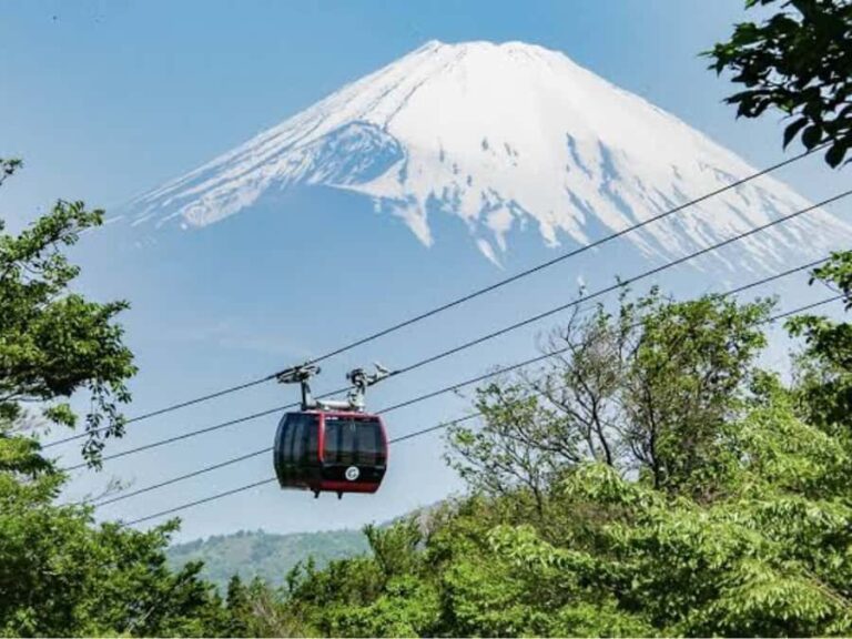 From Tokyo: Mount Fuji Private Customizable Tour with Guide - Who Will Love This Tour?