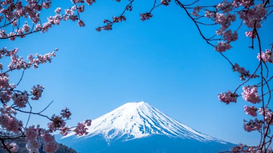 From Tokyo: Mount Fuji Private Customized Tour English Guide - An In-Depth Look at the Tour Experience