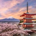 From Tokyo: Mount fuji Private Customized Tour With Guide - The Experience of the Guides and Transportation