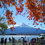 From Tokyo: Mount Fuji Private Day Tour Fully Customizable - The Practical Side: Transportation, Pricing, and Comfort