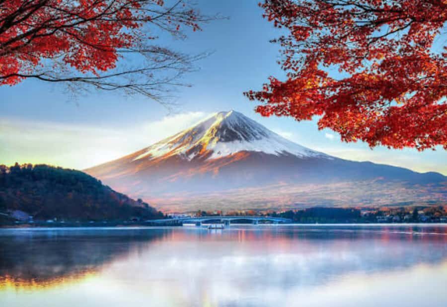 From Tokyo: Mount Fuji Private Day Tour With English Guide - Practical Details & Tips