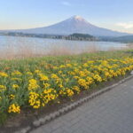 From Tokyo: Mount Fuji Private Tour with a Driver/Guide - Who Is This Tour Best For?