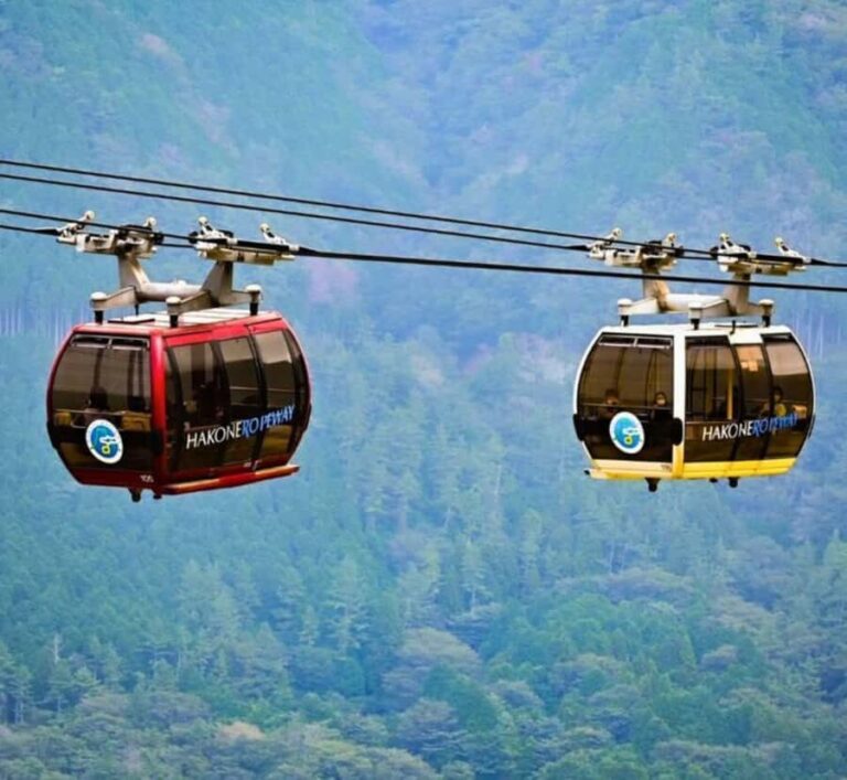 From Tokyo: Mount Fuji Private Tour with Driver-Guide - Thorough Breakdown of the Itinerary