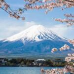 From Tokyo : Mount Fuji Tour With English Guide CUSTOMIZABLE - Why This Tour Offers Good Value