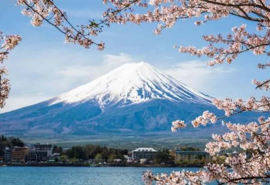 From Tokyo : Mount Fuji Tour With English Guide CUSTOMIZABLE - Why This Tour Offers Good Value
