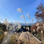 From Tokyo: Mountain Ridge Hike & Scenic Waterfall Day Tour - An In-Depth Look at the Tour Experience