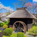 From Tokyo: Mt. Fuji Day Trip - Pagoda, Lake & Village - FAQs
