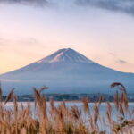 From Tokyo: Mt.Fuji & Gotemba Private Customizable Day Trip. - Why This Tour Works Well for Different Travelers