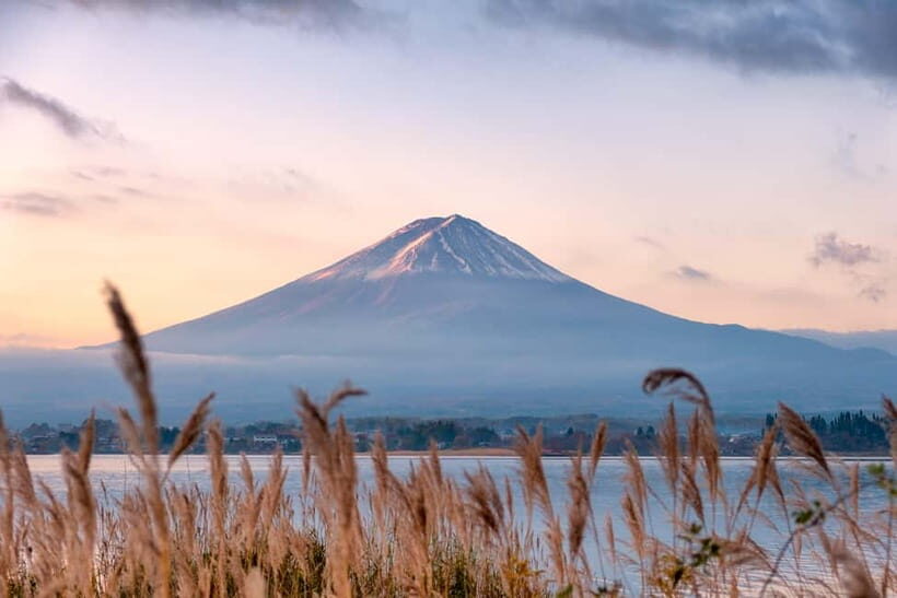 From Tokyo: Mt.Fuji & Gotemba Private Customizable Day Trip. - Why This Tour Works Well for Different Travelers