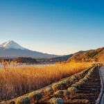 From Tokyo Mt.Fuji, Lake Kawaguchi, Makaino Farm day tour - The Reviews Tell a Story