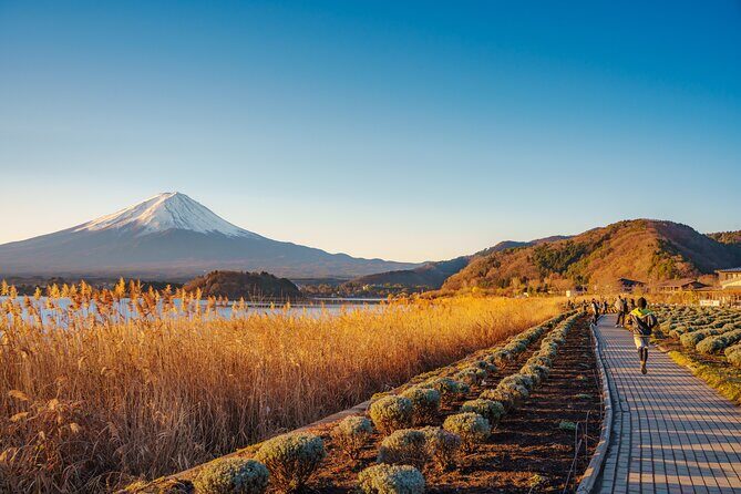 From Tokyo Mt.Fuji, Lake Kawaguchi, Makaino Farm day tour - The Reviews Tell a Story