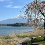 From Tokyo: Mt Fuji Private Day Tour In Luxury Land Cruiser - A Deep Dive into the Experience