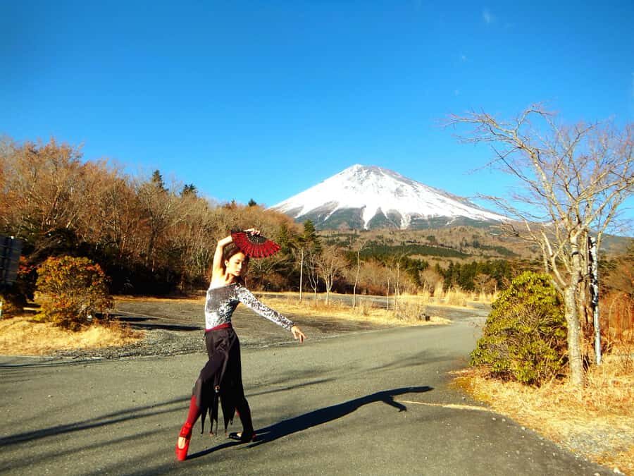 From Tokyo Mt. Fuji Private Tour In Prado Fully Adjustable - Who Will Love This Tour?