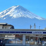 From Tokyo: Must-Visit Mount Fuji Highlight Full-Day Tour - What the Reviews Reveal About the Experience