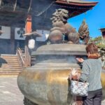 From Tokyo & Nagano: Snow Monkey Private Customizable Tour - Who Should Book This Tour?