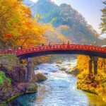 From Tokyo: Nikko Full Day Customizable Private Tour - The Practicalities and Value