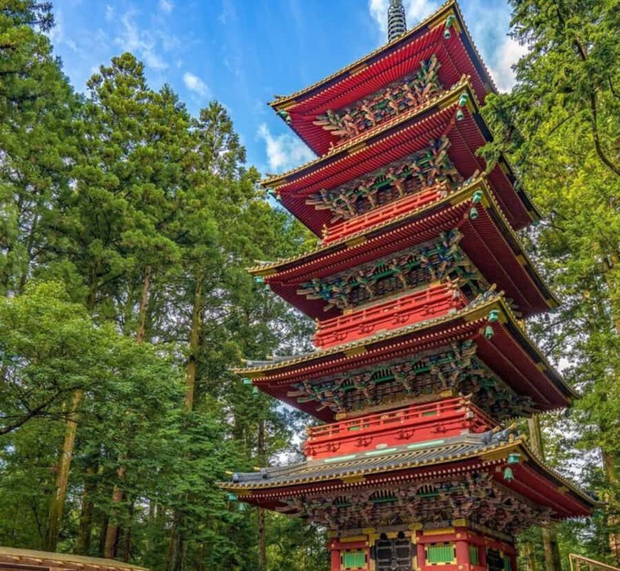 From Tokyo: Nikko Full Day Customized Private Tour - An In-Depth Look at the Experience