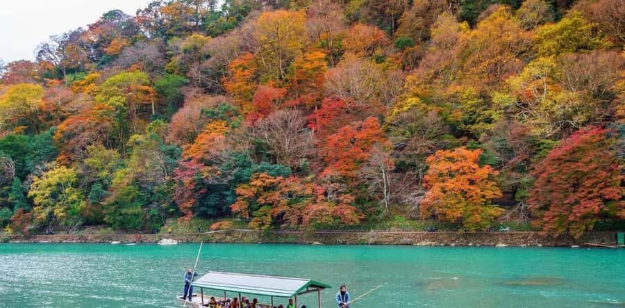 From Tokyo: Nikko Heritage Sights Private Day Tour - What to Expect: Highlights and Details