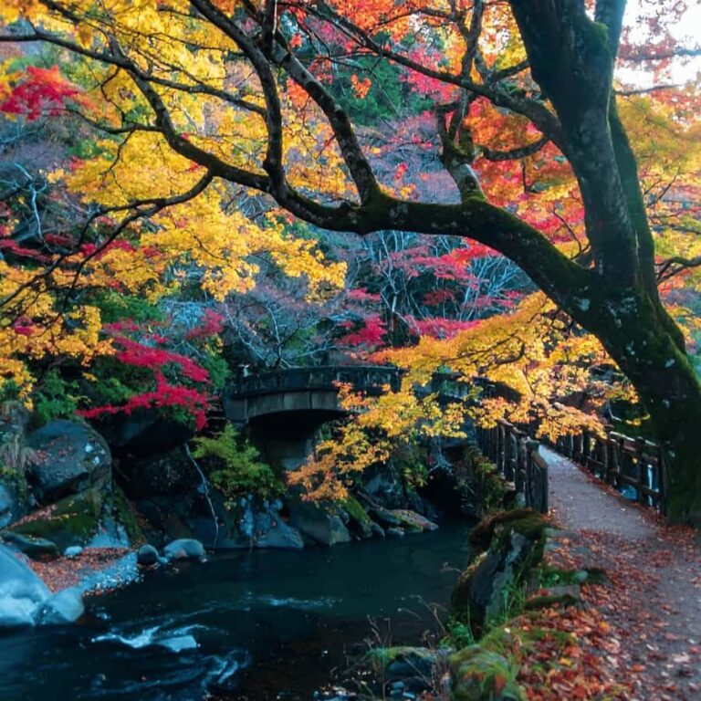 From Tokyo Nikko Lake Chuzenji & Toshogu Temple, Kegon Falls - Practical Details and Value