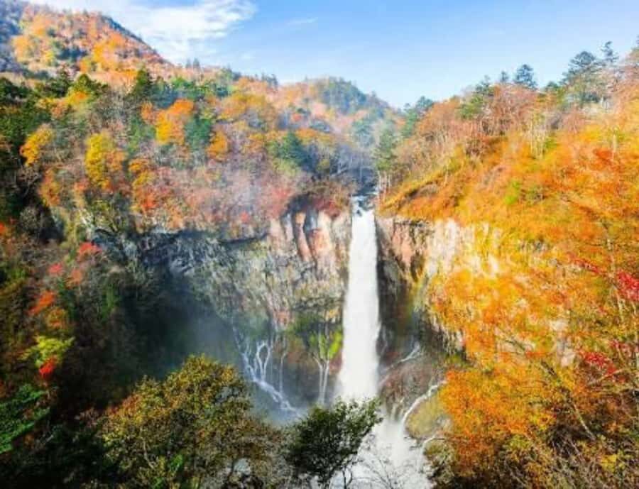 From Tokyo: Nikko Private Customized Tour With English Guide - The Itinerary Explored