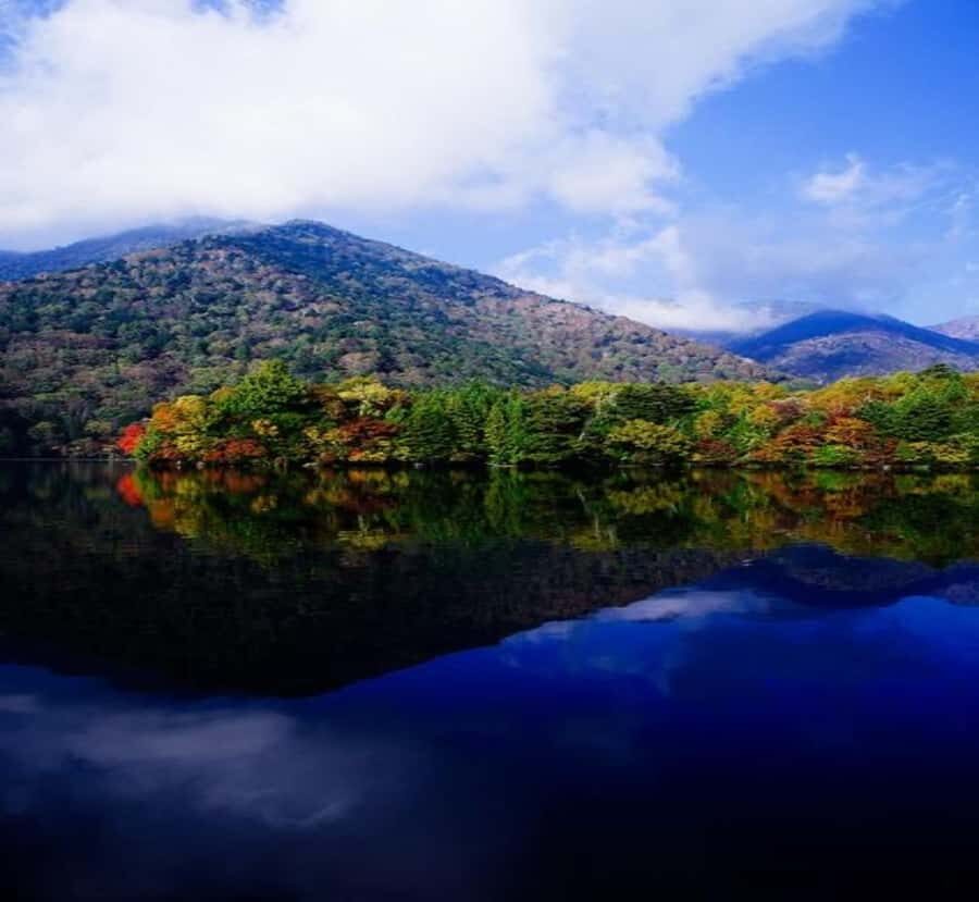 From Tokyo: Nikko Private Tour with Kegon Falls - How the Day Unfolds