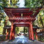 From Tokyo: Nikko Private Tour with Toshogu Shrine & Falls - Discovering the Charm of Nikko: What to Expect