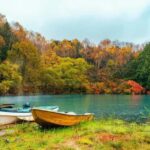 From Tokyo: Nikko World Heritage Full Day Private Tour - Discovering Nikko: A Journey Through Japan’s Heritage and Nature