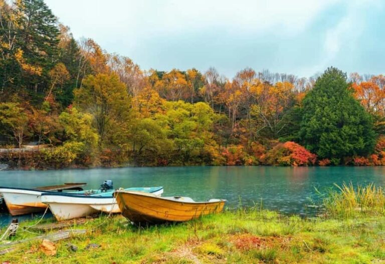 From Tokyo: Nikko World Heritage Full Day Private Tour - Discovering Nikko: A Journey Through Japan’s Heritage and Nature