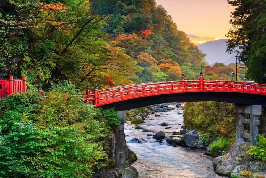 From Tokyo: Nikko World Heritage Full Day Private Tour - Who Will Love This Tour?