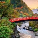 From Tokyo: Nikko World Heritage Private Tour with Guide - Final Thoughts: Who Will Love This Tour?