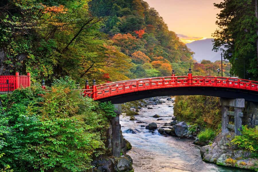 From Tokyo: Nikko World Heritage Private Tour with Guide - Final Thoughts: Who Will Love This Tour?