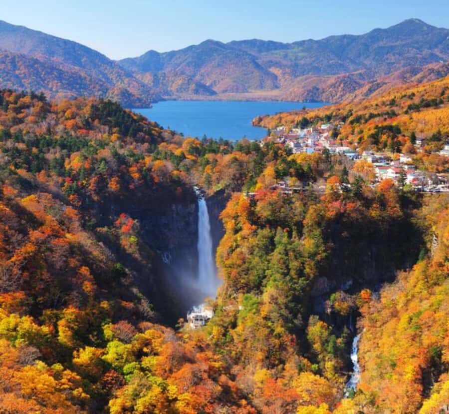 From Tokyo: Nikko World Heritage Private Tour with Guide - The Journey Begins: Pickup and Transportation