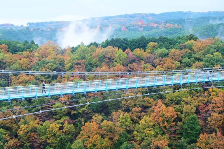 From Tokyo: Numazu Port, Mishima Skywalk, Mt. Fuji View Tour - Practical Details and Tips